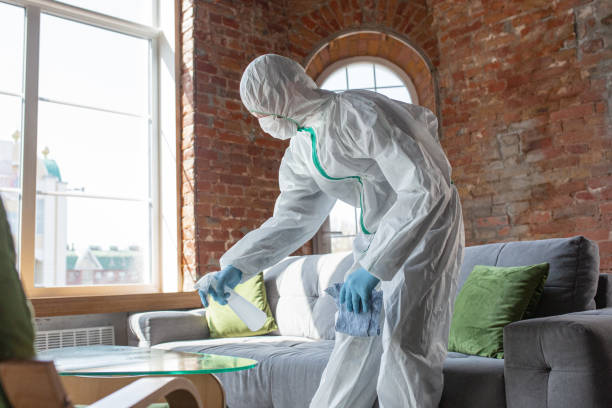 Westernport, MD Mold Removal & Remediation Company